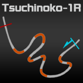 tsuchinoko1r