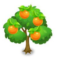 スイートオレンジの木